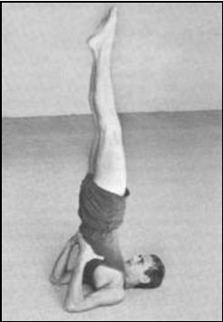Yoga Asanas